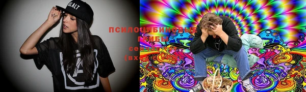 бутират Алзамай
